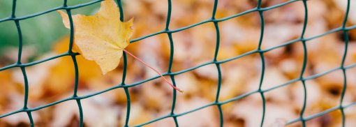 © Schönes gelbes Blatt im Netz verwickelt. Konzept der Dekoration und des Designkonzepts - StudioVK Ladungssicherungsnetz für den Anhänger - darauf sollten Sie achten