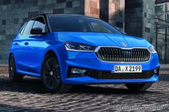 Skoda Fabia 1.0l MPI 59kW Selection 5-Gang